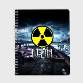 Тетрадь с принтом S T A L K E R - С Т Ё П А в Екатеринбурге, 100% бумага | 48 листов, плотность листов — 60 г/м2, плотность картонной обложки — 250 г/м2. Листы скреплены сбоку удобной пружинной спиралью. Уголки страниц и обложки скругленные. Цвет линий — светло-серый
 | stalker | буквы | волки | грузовик | знак | игра | имя | ммо | мрак | надпись | опасность | припять | птицы | радиация | рпг | сталкер | стёпа | степан | степашка | стёпка | чернобыль | шутер