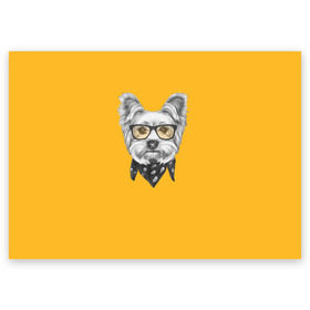 Поздравительная открытка с принтом Йоркширский терьер_в очках в Екатеринбурге, 100% бумага | плотность бумаги 280 г/м2, матовая, на обратной стороне линовка и место для марки
 | Тематика изображения на принте: домашние животные | пес | собака | терьер
