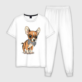 Мужская пижама хлопок с принтом Чихуахуа с бабочкой в Екатеринбурге, 100% хлопок | брюки и футболка прямого кроя, без карманов, на брюках мягкая резинка на поясе и по низу штанин
 | домашние животные | пес | песик | собака | собачка | чихуахуа