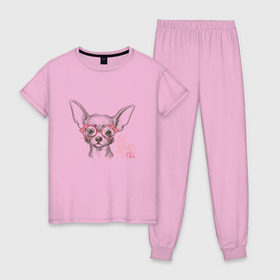 Женская пижама хлопок с принтом Чихуахуа в розовых очках в Екатеринбурге, 100% хлопок | брюки и футболка прямого кроя, без карманов, на брюках мягкая резинка на поясе и по низу штанин | домашние животные | пес | собака