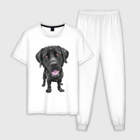 Мужская пижама хлопок с принтом Черный лабрадор в Екатеринбурге, 100% хлопок | брюки и футболка прямого кроя, без карманов, на брюках мягкая резинка на поясе и по низу штанин
 | Тематика изображения на принте: домашние животные | лабрадоры | пес | песик | ретриверы | собака | собачка
