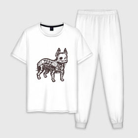 Мужская пижама хлопок с принтом Бульдог ренген в Екатеринбурге, 100% хлопок | брюки и футболка прямого кроя, без карманов, на брюках мягкая резинка на поясе и по низу штанин
 | бульдог | домашние животные | пес | песик | собака | собачка | французский бульдог