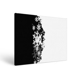 Холст прямоугольный с принтом Снежные узоры в Екатеринбурге, 100% ПВХ |  | black | christmas | new year | pattern | white | абстракция | зима | новый год | рождество | снег | снежинки | узор | черно белые