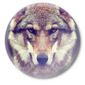 Значок с принтом Wolf в Екатеринбурге,  металл | круглая форма, металлическая застежка в виде булавки | animal | волк | хищник