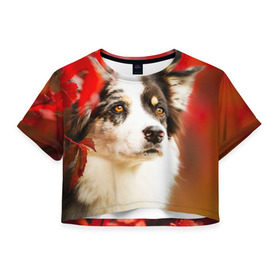 Женская футболка 3D укороченная с принтом Бордер колли в красных листьях в Екатеринбурге, 100% полиэстер | круглая горловина, длина футболки до линии талии, рукава с отворотами | border collie | dog | бордер колли | красный | листья | осень | собака