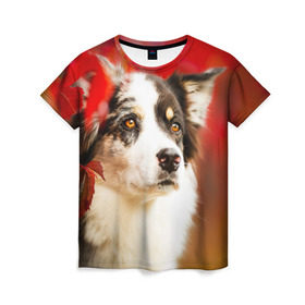 Женская футболка 3D с принтом Бордер колли в красных листьях в Екатеринбурге, 100% полиэфир ( синтетическое хлопкоподобное полотно) | прямой крой, круглый вырез горловины, длина до линии бедер | Тематика изображения на принте: border collie | dog | бордер колли | красный | листья | осень | собака