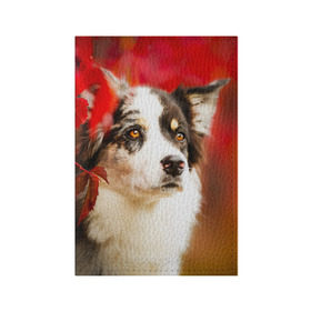Обложка для паспорта матовая кожа с принтом Бордер колли в красных листьях в Екатеринбурге, натуральная матовая кожа | размер 19,3 х 13,7 см; прозрачные пластиковые крепления | Тематика изображения на принте: border collie | dog | бордер колли | красный | листья | осень | собака