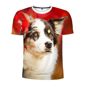 Мужская футболка 3D спортивная с принтом Бордер колли в красных листьях в Екатеринбурге, 100% полиэстер с улучшенными характеристиками | приталенный силуэт, круглая горловина, широкие плечи, сужается к линии бедра | border collie | dog | бордер колли | красный | листья | осень | собака