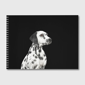 Альбом для рисования с принтом Далматинец арт в Екатеринбурге, 100% бумага
 | матовая бумага, плотность 200 мг. | далматин | далматинец | домашние животные | пес | песик | собака | собачка | терьер | шпиц