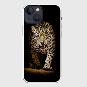 Чехол для iPhone 13 mini с принтом Leopard в Екатеринбурге,  |  | дикая кошка | зверь | клыки | кот | леопард | оскал | пантера | природа | хищник | ягуар