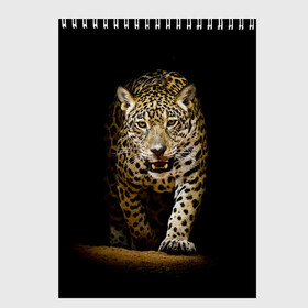 Скетчбук с принтом Leopard в Екатеринбурге, 100% бумага
 | 48 листов, плотность листов — 100 г/м2, плотность картонной обложки — 250 г/м2. Листы скреплены сверху удобной пружинной спиралью | дикая кошка | зверь | клыки | кот | леопард | оскал | пантера | природа | хищник | ягуар