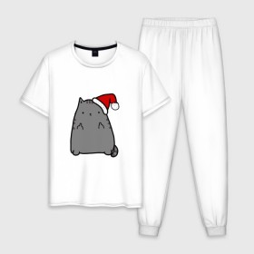 Мужская пижама хлопок с принтом New Year Cat в Екатеринбурге, 100% хлопок | брюки и футболка прямого кроя, без карманов, на брюках мягкая резинка на поясе и по низу штанин
 | кот | новогодний | рождество | шапка
