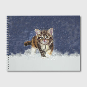Альбом для рисования с принтом Зимний котик в Екатеринбурге, 100% бумага
 | матовая бумага, плотность 200 мг. | Тематика изображения на принте: зима | кот | котенок | кошка | новый год | снег | снежинка | снежок
