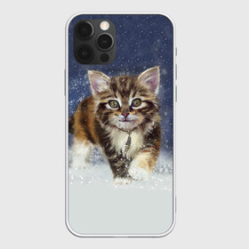 Чехол для iPhone 12 Pro Max с принтом Зимний котик в Екатеринбурге, Силикон |  | Тематика изображения на принте: зима | кот | котенок | кошка | новый год | снег | снежинка | снежок