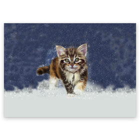 Поздравительная открытка с принтом Зимний котик в Екатеринбурге, 100% бумага | плотность бумаги 280 г/м2, матовая, на обратной стороне линовка и место для марки
 | Тематика изображения на принте: зима | кот | котенок | кошка | новый год | снег | снежинка | снежок