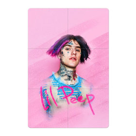 Магнитный плакат 2Х3 с принтом Lil Pink в Екатеринбурге, Полимерный материал с магнитным слоем | 6 деталей размером 9*9 см | Тематика изображения на принте: lil peep | rap | густав ор | лил пип | рэп