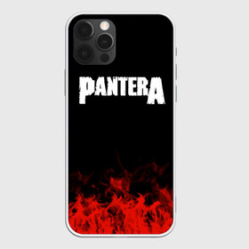 Чехол для iPhone 12 Pro Max с принтом Pantera в Екатеринбурге, Силикон |  | band | metal | music | pantera | rock | атрибутика | группа | метал | музыка | рок