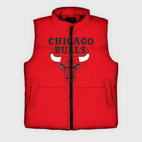 Мужской жилет утепленный 3D с принтом Chicago Bulls в Екатеринбурге,  |  | bulls | chicago | chicago bulls | nba | баскетбол | буллз | нба | чикаго буллз