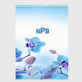 Скетчбук с принтом Ира в Екатеринбурге, 100% бумага
 | 48 листов, плотность листов — 100 г/м2, плотность картонной обложки — 250 г/м2. Листы скреплены сверху удобной пружинной спиралью | flower | name | spring | букет | весна | имена | имя | ира | природа | узор | цветочный | цветы