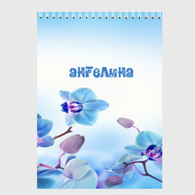 Скетчбук с принтом Ангелина в Екатеринбурге, 100% бумага
 | 48 листов, плотность листов — 100 г/м2, плотность картонной обложки — 250 г/м2. Листы скреплены сверху удобной пружинной спиралью | flower | name | spring | ангелина | букет | весна | имена | имя | природа | узор | цветочный | цветы