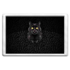 Магнит 45*70 с принтом Чёрный котик в Екатеринбурге, Пластик | Размер: 78*52 мм; Размер печати: 70*45 | кошка | чёрная