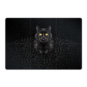 Магнитный плакат 3Х2 с принтом Чёрный котик в Екатеринбурге, Полимерный материал с магнитным слоем | 6 деталей размером 9*9 см | кошка | чёрная