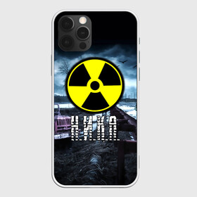 Чехол для iPhone 12 Pro с принтом S.T.A.L.K.E.R. - Н.И.К.А. в Екатеринбурге, силикон | область печати: задняя сторона чехла, без боковых панелей | stalker | буквы | вера | вероника | верочка | волки | грузовик | знак | игра | имя | ммо | мрак | надпись | ника | опасность | припять | птицы | радиация | рпг | сталкер | чернобыль | шутер