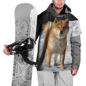 Накидка на куртку 3D с принтом Акита-ину в Екатеринбурге, 100% полиэстер |  | акита | животное | животные | ину | овчарка | пес | песик | псы | сиба | собака | собаки | шиба