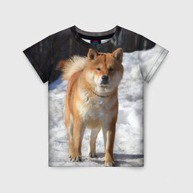 Детская футболка 3D с принтом Акита-ину в Екатеринбурге, 100% гипоаллергенный полиэфир | прямой крой, круглый вырез горловины, длина до линии бедер, чуть спущенное плечо, ткань немного тянется | акита | животное | животные | ину | овчарка | пес | песик | псы | сиба | собака | собаки | шиба
