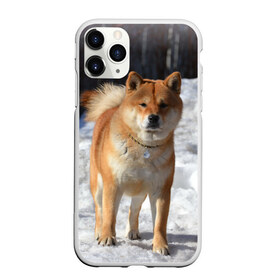 Чехол для iPhone 11 Pro матовый с принтом Акита-ину в Екатеринбурге, Силикон |  | Тематика изображения на принте: акита | животное | животные | ину | овчарка | пес | песик | псы | сиба | собака | собаки | шиба