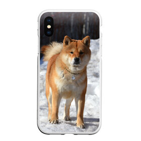 Чехол для iPhone XS Max матовый с принтом Акита-ину в Екатеринбурге, Силикон | Область печати: задняя сторона чехла, без боковых панелей | акита | животное | животные | ину | овчарка | пес | песик | псы | сиба | собака | собаки | шиба