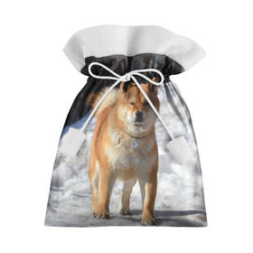 Подарочный 3D мешок с принтом Акита-ину в Екатеринбурге, 100% полиэстер | Размер: 29*39 см | акита | животное | животные | ину | овчарка | пес | песик | псы | сиба | собака | собаки | шиба