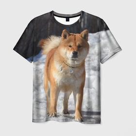 Мужская футболка 3D с принтом Акита-ину в Екатеринбурге, 100% полиэфир | прямой крой, круглый вырез горловины, длина до линии бедер | акита | животное | животные | ину | овчарка | пес | песик | псы | сиба | собака | собаки | шиба
