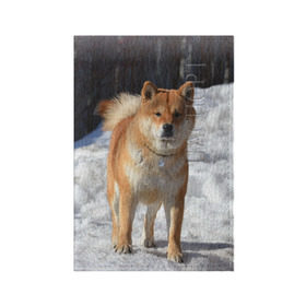 Обложка для паспорта матовая кожа с принтом Акита-ину в Екатеринбурге, натуральная матовая кожа | размер 19,3 х 13,7 см; прозрачные пластиковые крепления | акита | животное | животные | ину | овчарка | пес | песик | псы | сиба | собака | собаки | шиба