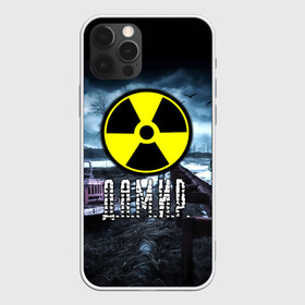 Чехол для iPhone 12 Pro с принтом S.T.A.L.K.E.R. - Д.А.М.И.Р. в Екатеринбурге, силикон | область печати: задняя сторона чехла, без боковых панелей | stalker | буквы | волки | грузовик | дамир | дамирчик | знак | игра | имя | ммо | мрак | надпись | опасность | припять | птицы | радиация | рпг | сталкер | чернобыль | шутер