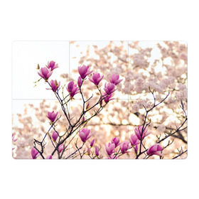 Магнитный плакат 3Х2 с принтом Сакура в Екатеринбурге, Полимерный материал с магнитным слоем | 6 деталей размером 9*9 см | Тематика изображения на принте: деревья | красота | небо | природа | сакура | цветение | цветы | япония