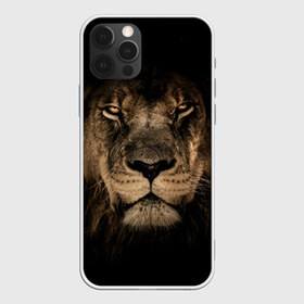 Чехол для iPhone 12 Pro Max с принтом Лев в Екатеринбурге, Силикон |  | животные | кошка | лев | мордочка | природа | тигр | хищник