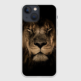 Чехол для iPhone 13 mini с принтом Лев в Екатеринбурге,  |  | животные | кошка | лев | мордочка | природа | тигр | хищник