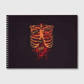 Альбом для рисования с принтом Человеческий скелет в Екатеринбурге, 100% бумага
 | матовая бумага, плотность 200 мг. | 3d скелет | кости | легкие | органы | ребра | сердце | скелет | человек