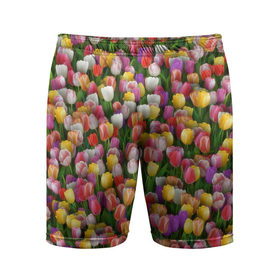 Мужские шорты 3D спортивные с принтом Разноцветные тюльпаны в Екатеринбурге,  |  | Тематика изображения на принте: 8 марта | tulip | белый | букет | желтый | зеленый | красный | паттерн | розовый | тюльпан | тюльпанчики | цветок | цветочки | цветы