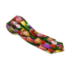 Галстук 3D с принтом Разноцветные тюльпаны в Екатеринбурге, 100% полиэстер | Длина 148 см; Плотность 150-180 г/м2 | 8 марта | tulip | белый | букет | желтый | зеленый | красный | паттерн | розовый | тюльпан | тюльпанчики | цветок | цветочки | цветы
