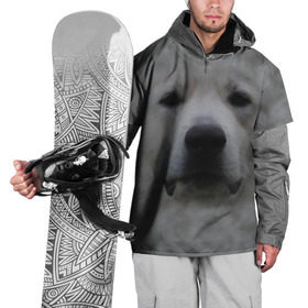 Накидка на куртку 3D с принтом Лабрадор в Екатеринбурге, 100% полиэстер |  | Тематика изображения на принте: голова | животные | лабрадор | пес | природа | собака | собачка | щенок