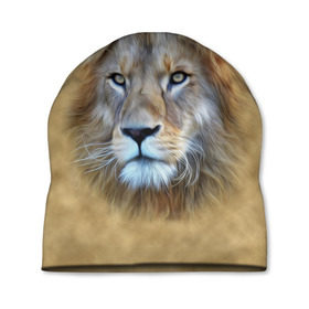 Шапка 3D с принтом Лев в Екатеринбурге, 100% полиэстер | универсальный размер, печать по всей поверхности изделия | голова | животные | кошка | лев | львица | природа | хищник