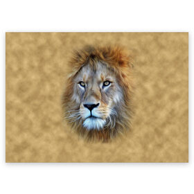Поздравительная открытка с принтом Лев в Екатеринбурге, 100% бумага | плотность бумаги 280 г/м2, матовая, на обратной стороне линовка и место для марки
 | голова | животные | кошка | лев | львица | природа | хищник
