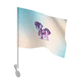 Флаг для автомобиля с принтом My Little Pony в Екатеринбурге, 100% полиэстер | Размер: 30*21 см | мой маленький пони | мультфильм