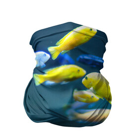 Бандана-труба 3D с принтом Рыбки в Екатеринбурге, 100% полиэстер, ткань с особыми свойствами — Activecool | плотность 150‒180 г/м2; хорошо тянется, но сохраняет форму | fish | fishes | pisces | море | морские обитатели | морской | океан | рыбы
