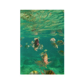 Обложка для паспорта матовая кожа с принтом abyssal fishes в Екатеринбурге, натуральная матовая кожа | размер 19,3 х 13,7 см; прозрачные пластиковые крепления | fish | fishes | pisces | море | морские обитатели | морской | океан | рыбы