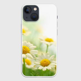 Чехол для iPhone 13 mini с принтом Полевые ромашки в Екатеринбурге,  |  | луг | поле | цветы