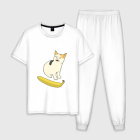 Мужская пижама хлопок с принтом Cat no banana в Екатеринбурге, 100% хлопок | брюки и футболка прямого кроя, без карманов, на брюках мягкая резинка на поясе и по низу штанин
 | angry cat | banana | cat | no banana
