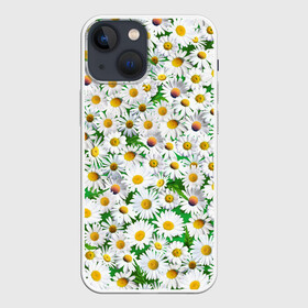 Чехол для iPhone 13 mini с принтом Ромашки в Екатеринбурге,  |  | chamomile | daisies | flowers | nature | природа | растения | ромашки | текстура | цветы